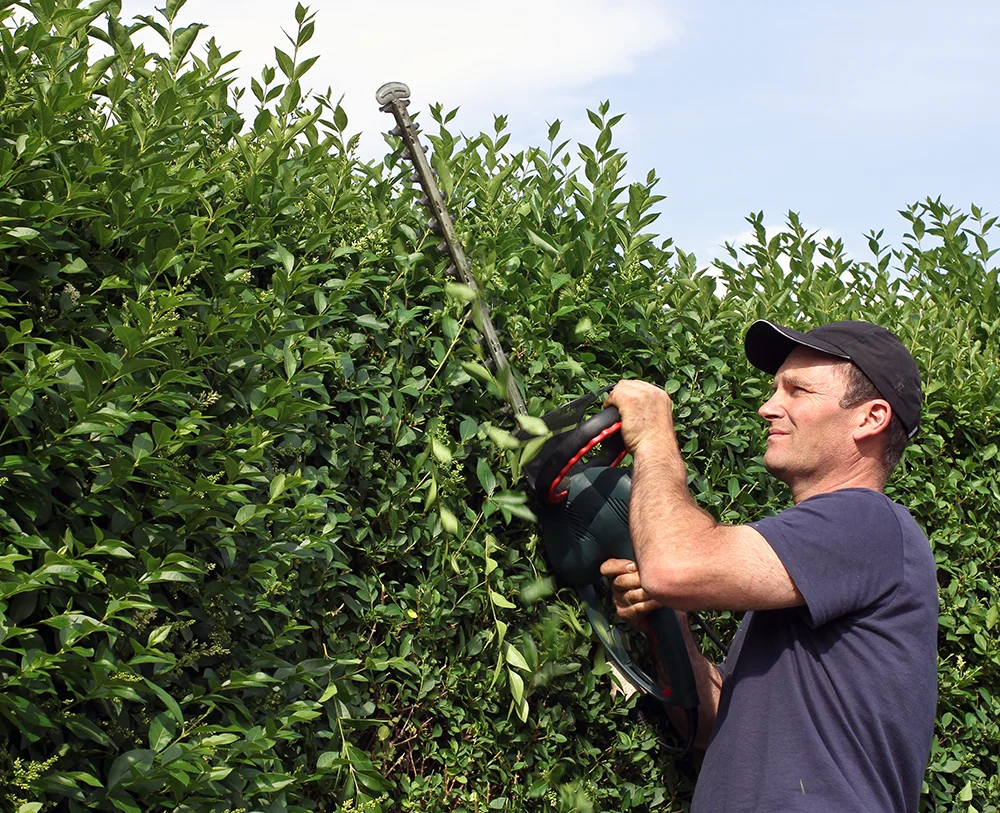 redkin-hausmeisterservice-gruenanlage-bild-2