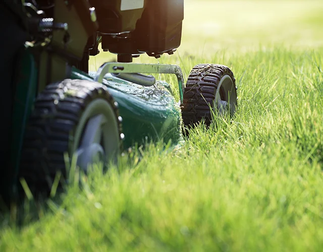 redkin-hausmeisterservice-gruenanlage-bild-3